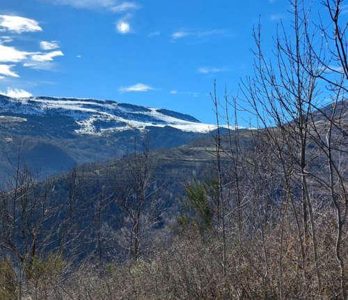 Serra Cavallera 1. De Camprod&oacute;n a Coll de Pal